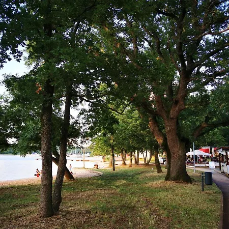 Lovely Near The With A Sea View Apartment