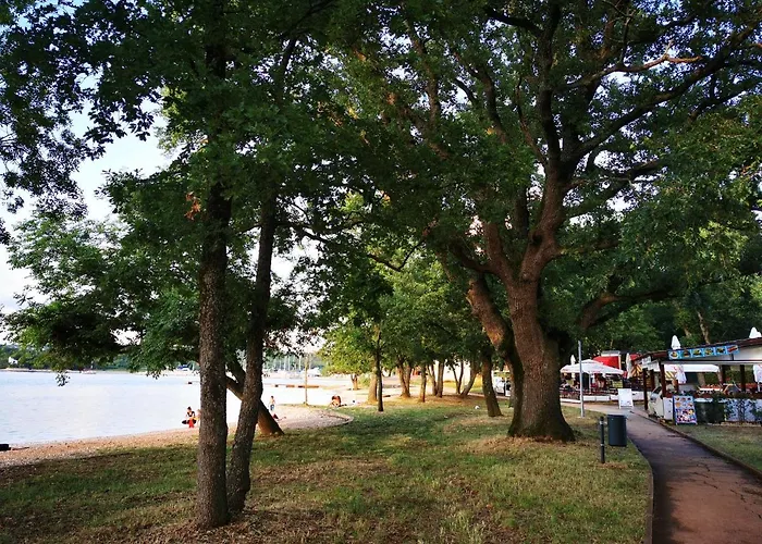 Lovely Near The With A Sea View Apartman