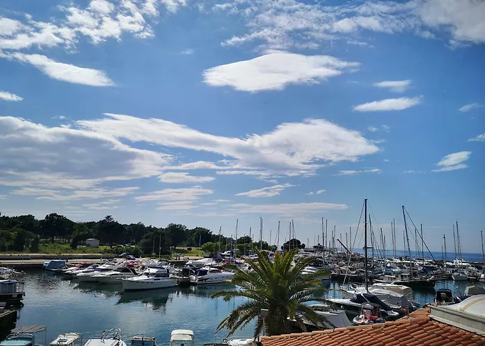 Lovely Near The With A Sea View *